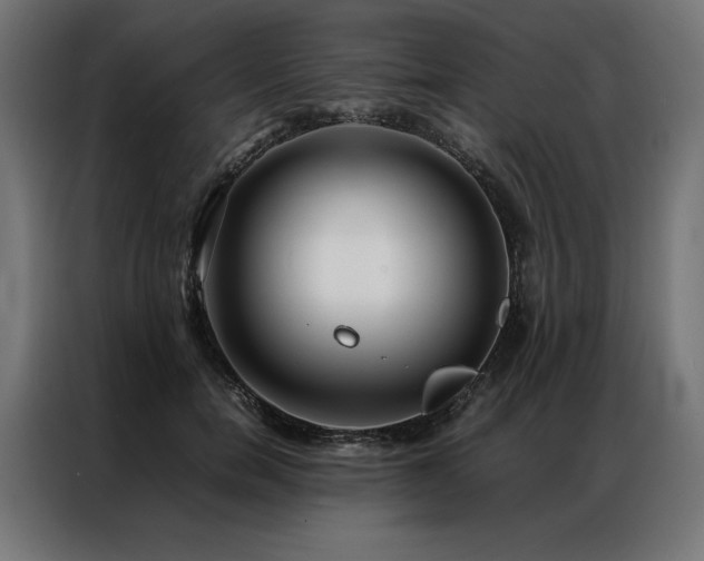 X0000086890750200704161247