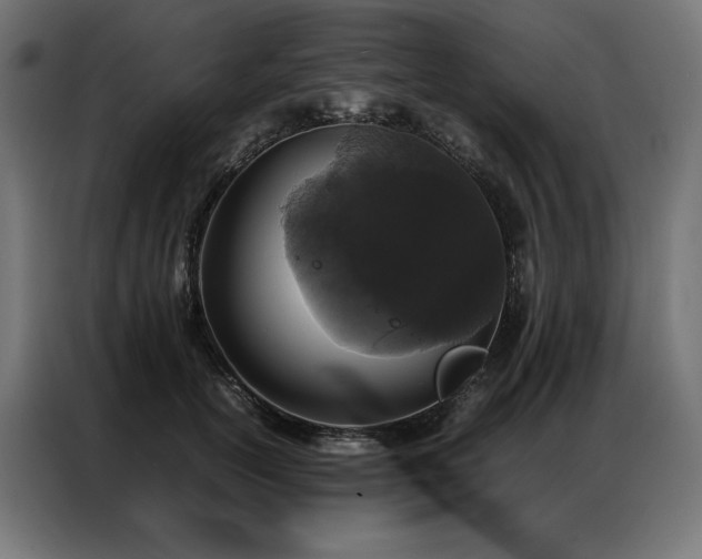 X0000086890754200704161247