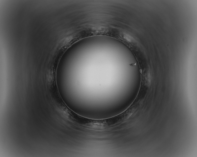 X0000086890756200704161247