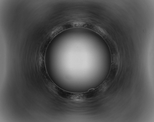 X0000086890761200704161247