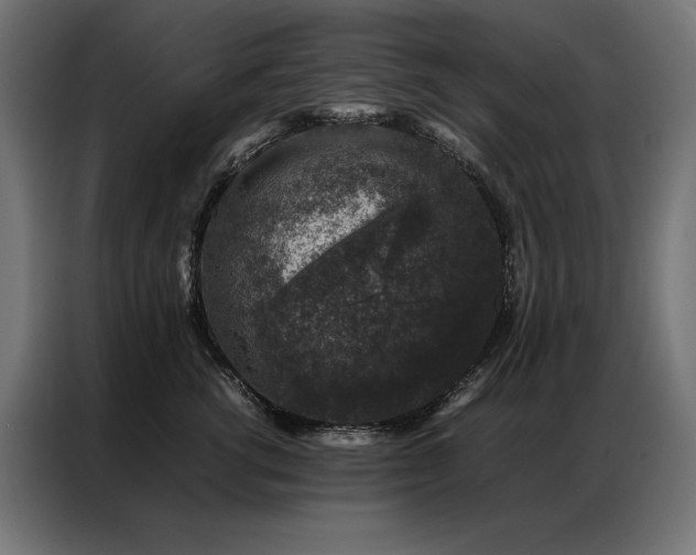 X0000086890762200704161247