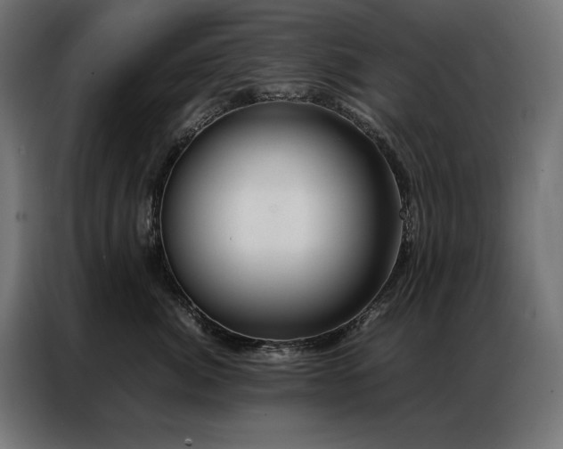 X0000086890764200704161247