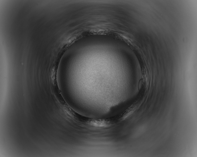 X0000086890767200704161247