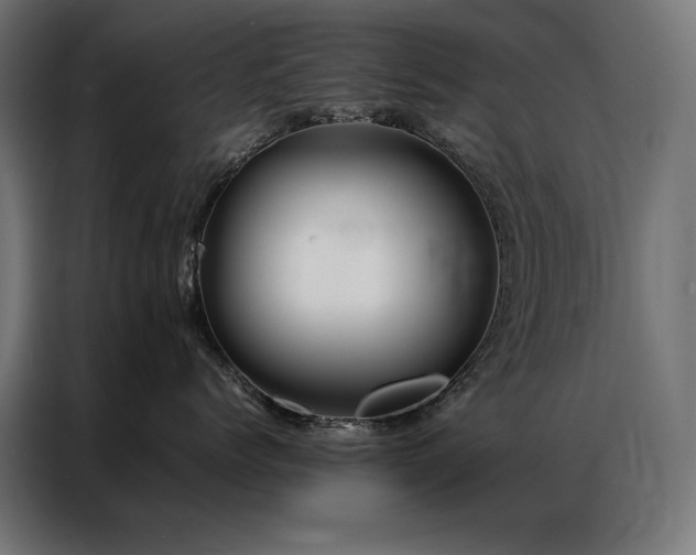 X0000086890768200704161247