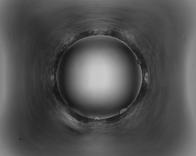 X0000086890771200704161247