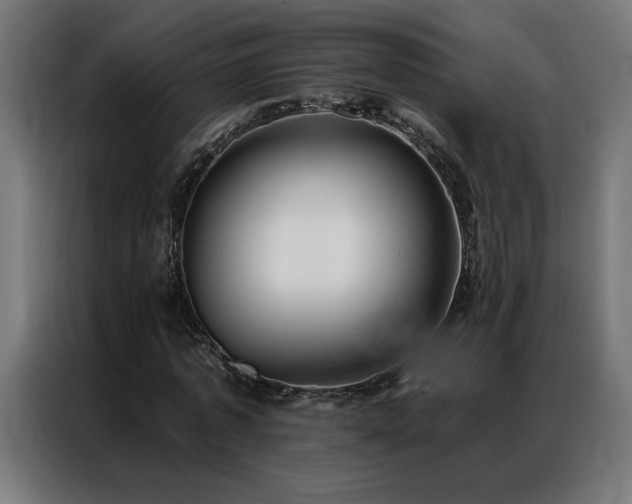 X0000086890773200704161247