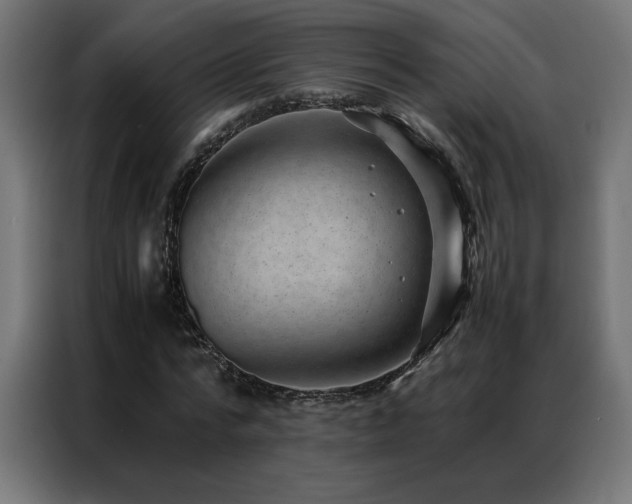 X0000086890776200704161247