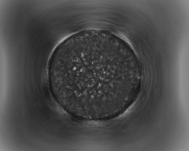 X0000086890779200704161246