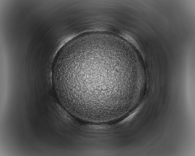 X0000086890781200704161246