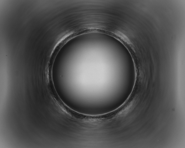 X0000086890782200704161246