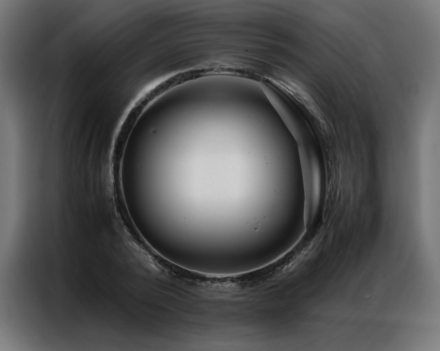 X0000086890784200704161246