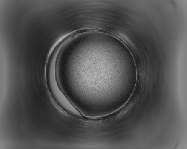 X0000086890788200704161246