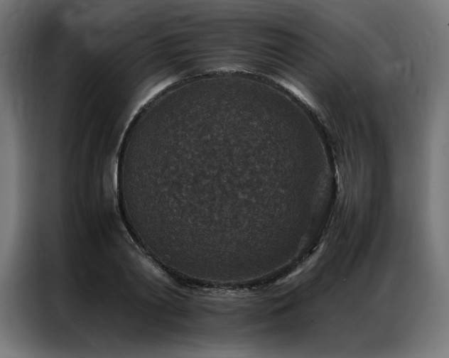 X0000086890790200704161246