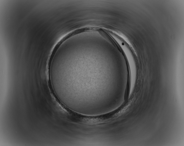 X0000086890791200704161246