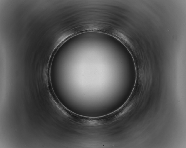 X0000086890794200704161246