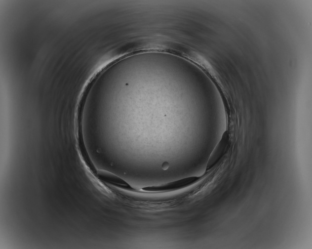 X0000086890795200704161246