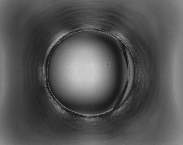 X0000086890796200704161246