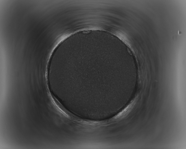 X0000086890797200704161246