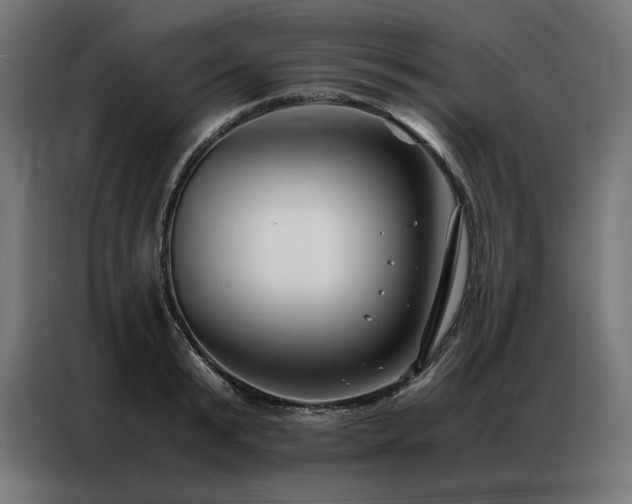 X0000086890799200704161246