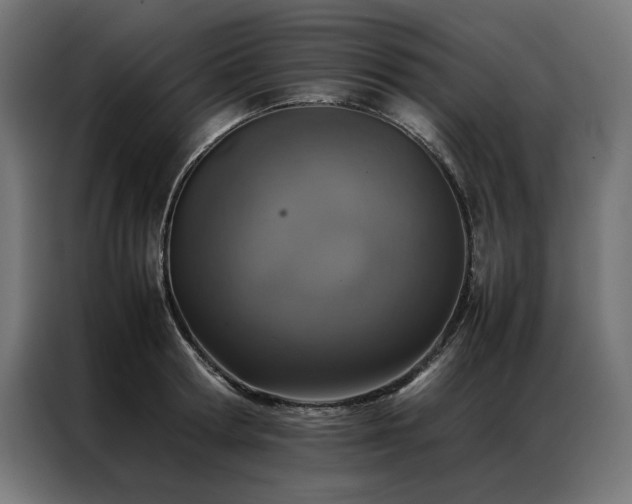 X0000086890802200704161246