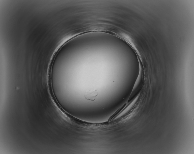 X0000086890803200704161246