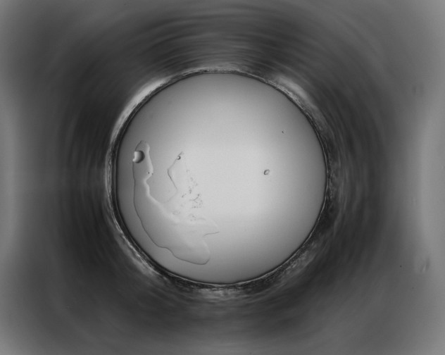 X0000086890804200704161246