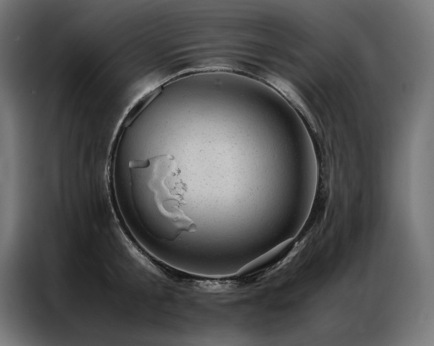 X0000086890805200704161246