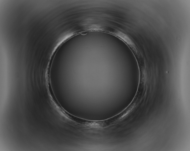 X0000086890806200704161246