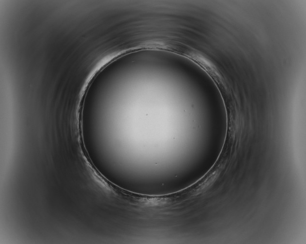 X0000086890808200704161246