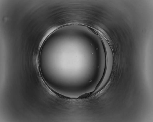 X0000086890812200704161246