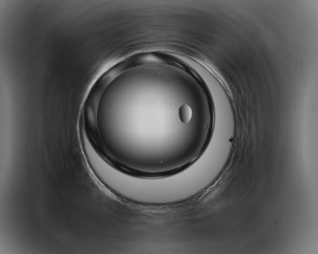 X0000086890813200704161246