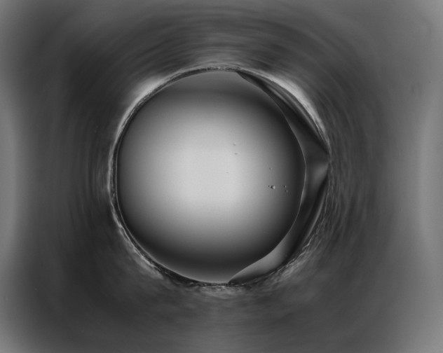 X0000086890815200704161246