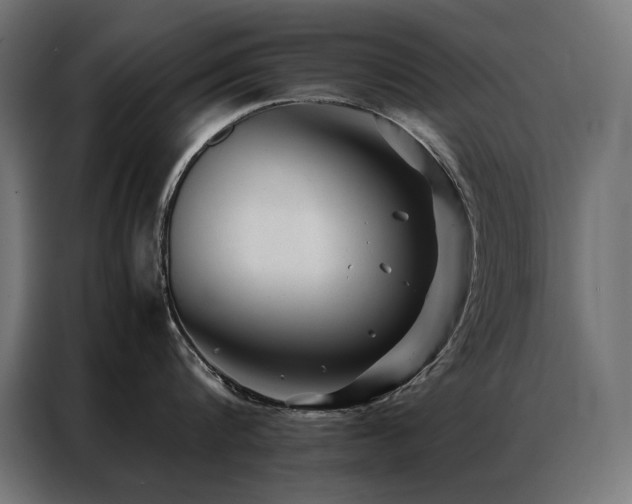 X0000086890816200704161246