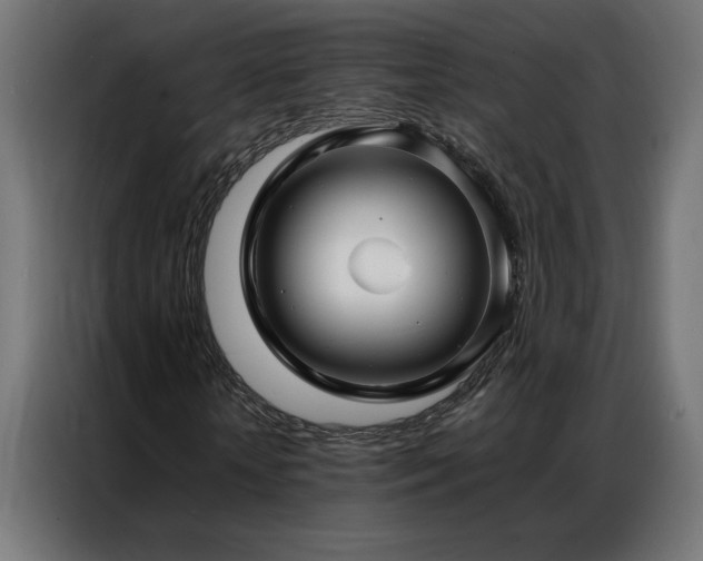 X0000086890818200704161245