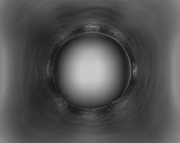 X0000086890819200704161245