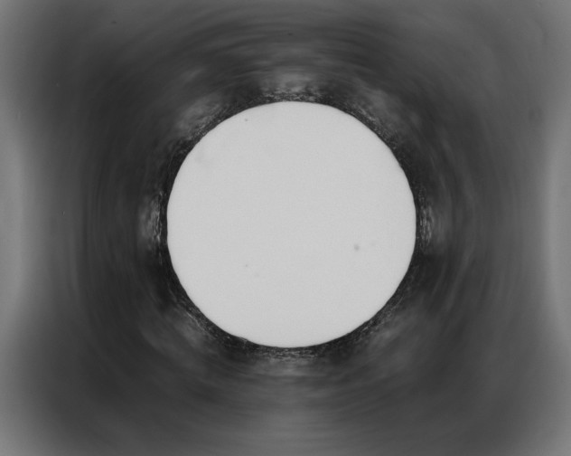 X0000086890820200704161245