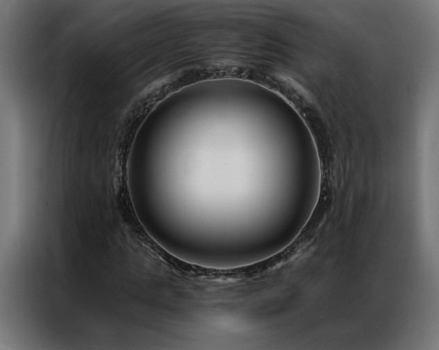 X0000086890821200704161245