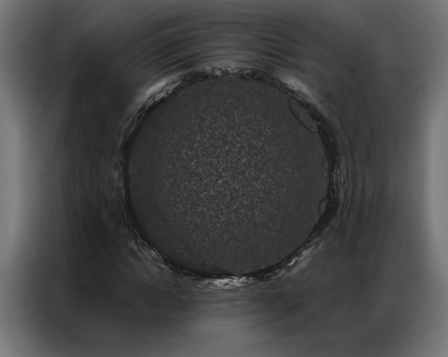 X0000086890822200704161245