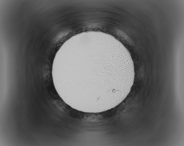 X0000086890824200704161245