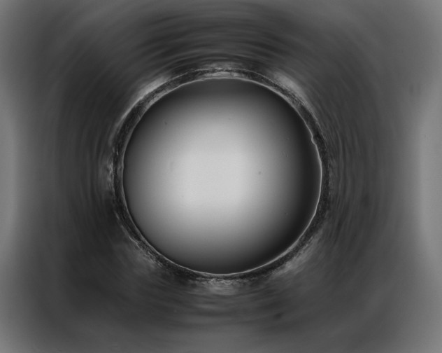 X0000086890827200704161245