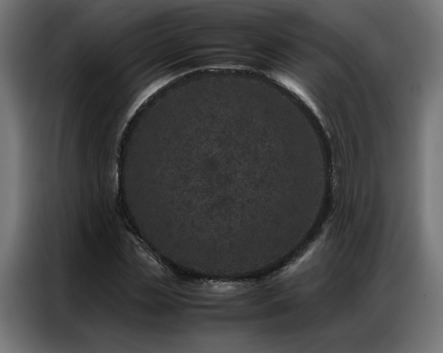 X0000086890829200704161245