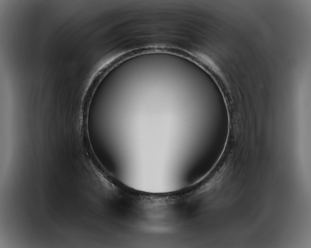 X0000086890831200704161245