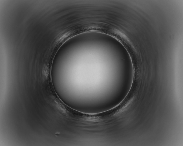 X0000086890833200704161245