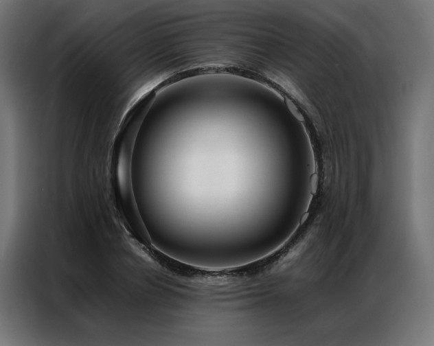 X0000086890834200704161245