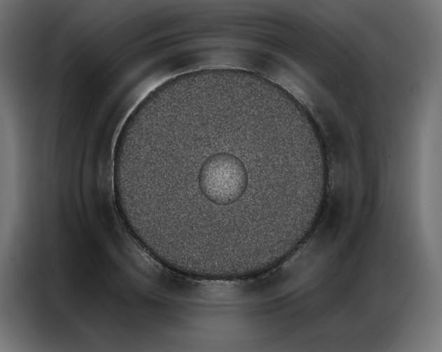 X0000086890836200704161245