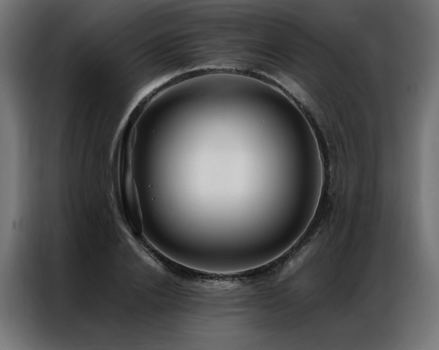 X0000086890838200704161245