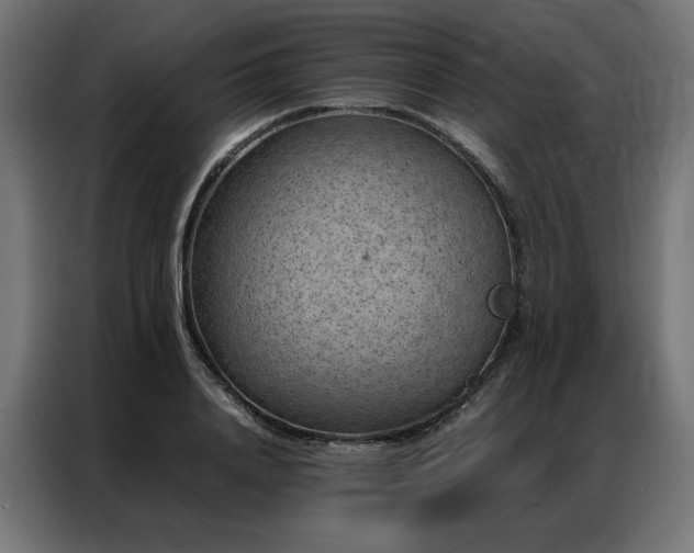 X0000086890840200704161245