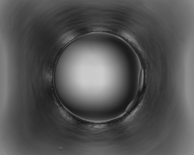 X0000086890841200704161245