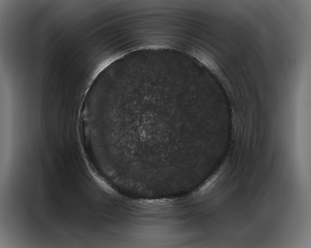 X0000086890842200704161245