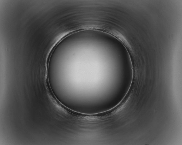 X0000086890844200704161245